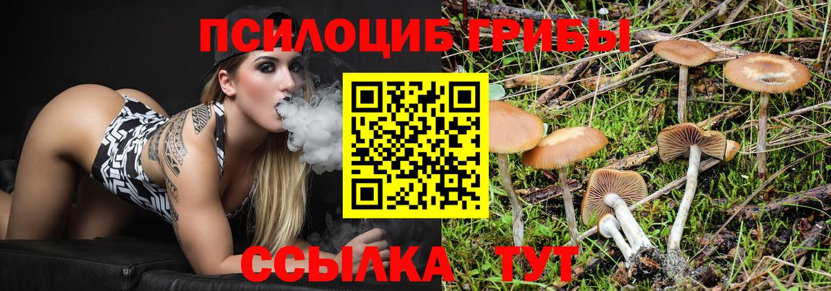 Псилоцибиновые грибы Psilocybe  Вход с VPN  цена   Гурьевск 