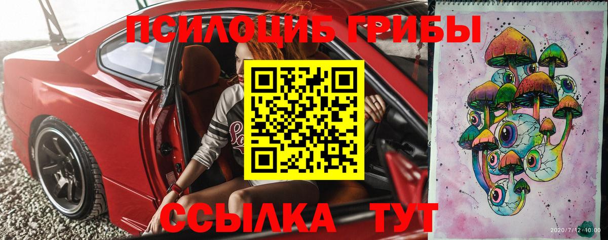 купить наркоту  Галлюциногенные грибы Magic Shrooms  Гурьевск  Псилоцибиновые грибы прущие грибы 