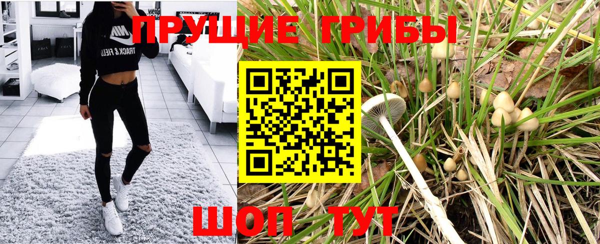 Галлюциногенные грибы Magic Shrooms Гурьевск