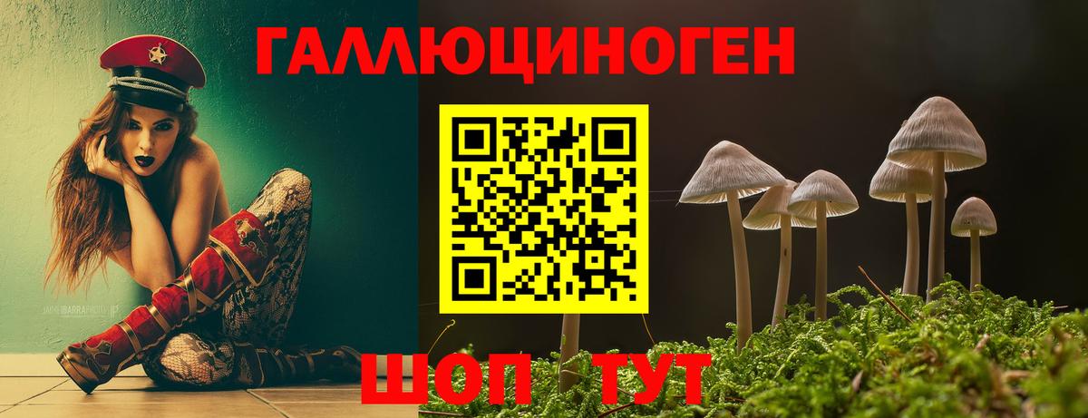 Псилоцибиновые грибы Magic Shrooms Гурьевск