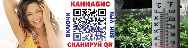 Бошки Шишки THC 21%  Гурьевск 